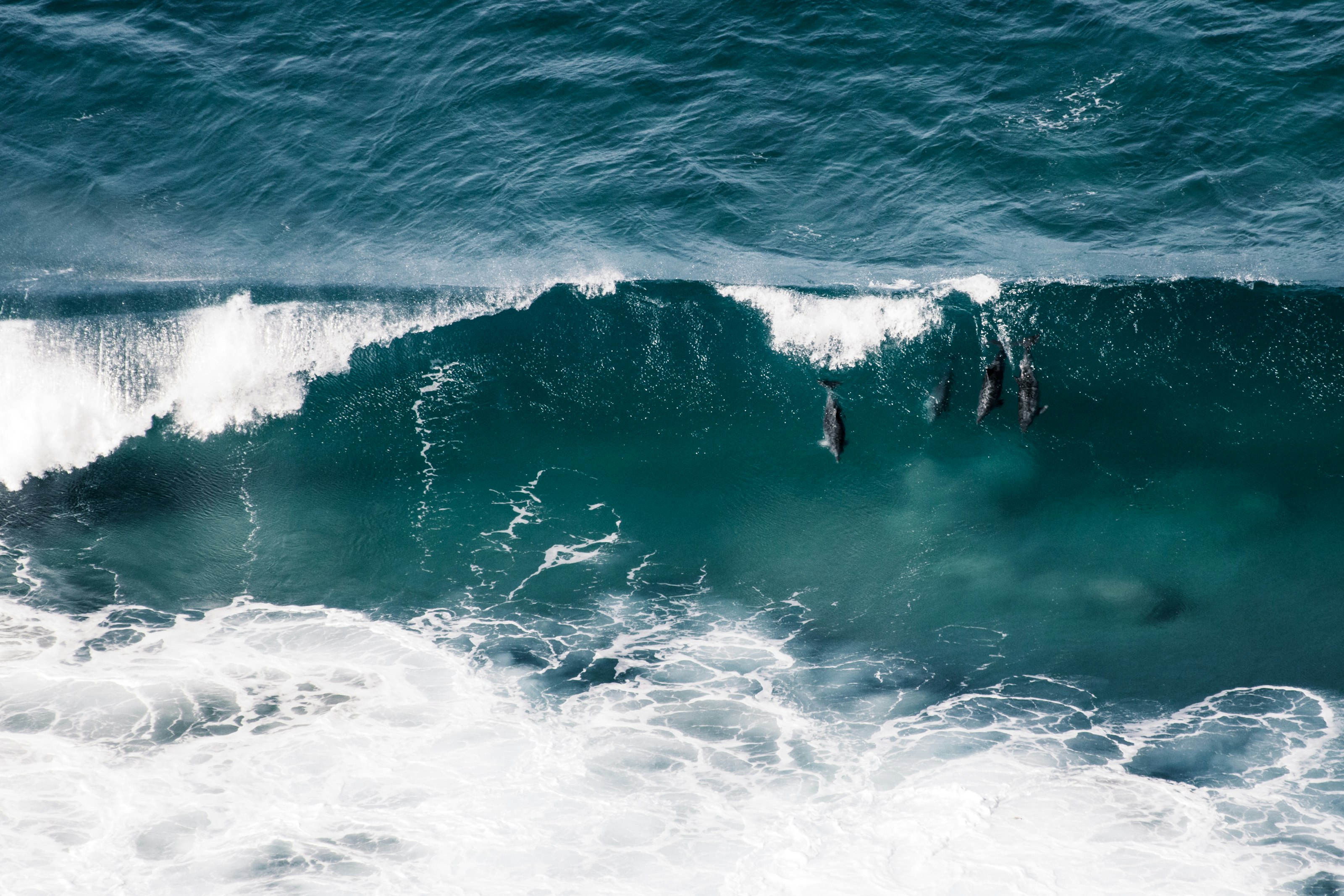 ocean waves crashing on shore during daytime